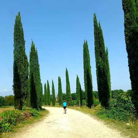 Daire Il Nido Di Torri