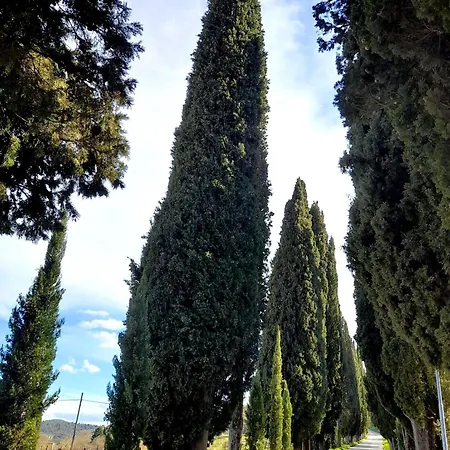 Il Nido Di Torri