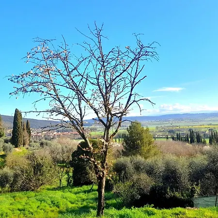 Il Nido Di Torri Sovicille